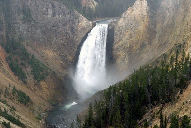 Yellowstone video goes viral after viewers claim it depicts Bigfoot - Lonely Planet