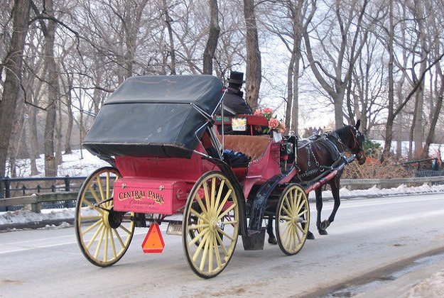 Horse-drawn carriage, Central Park.