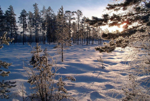 Dalarna, Sweden.