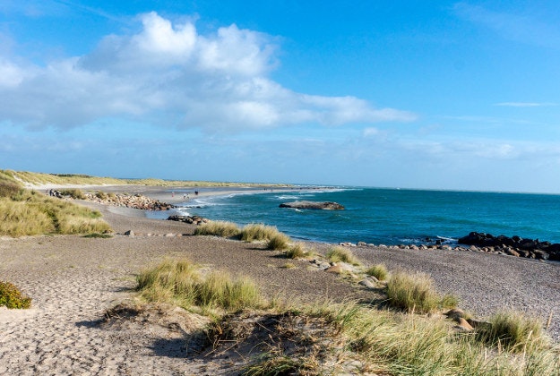 A stretch of the Danish coastline.
