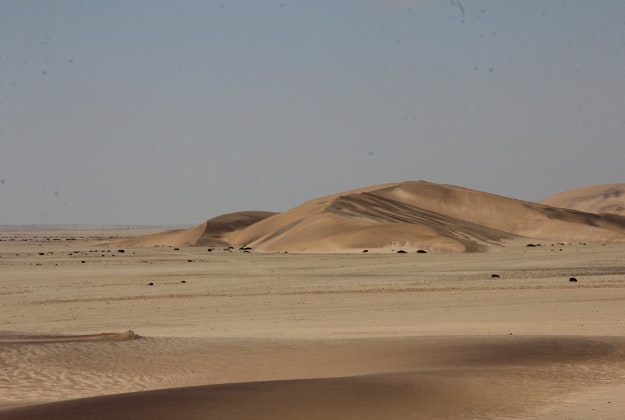 Dunes in the Dorob National Park.