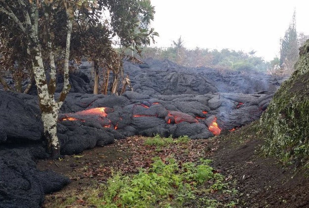 Puna lava flow, Pahoa.
