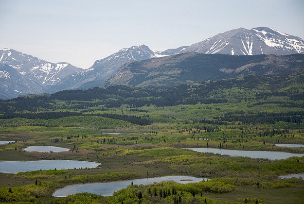 Rocky Mountains. Montana.