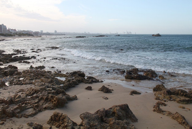 Port Elizabeth, South Africa.