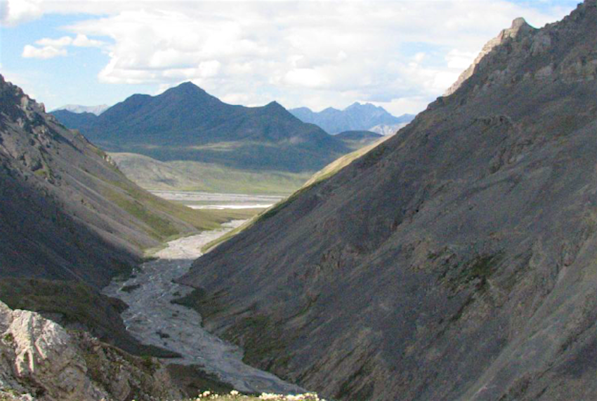 Travel News - AWNR Obama moves to protect the Artic National Wildlife Refuge in Alaska.