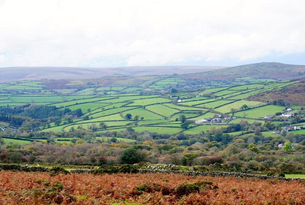 Devonshire farmlands.