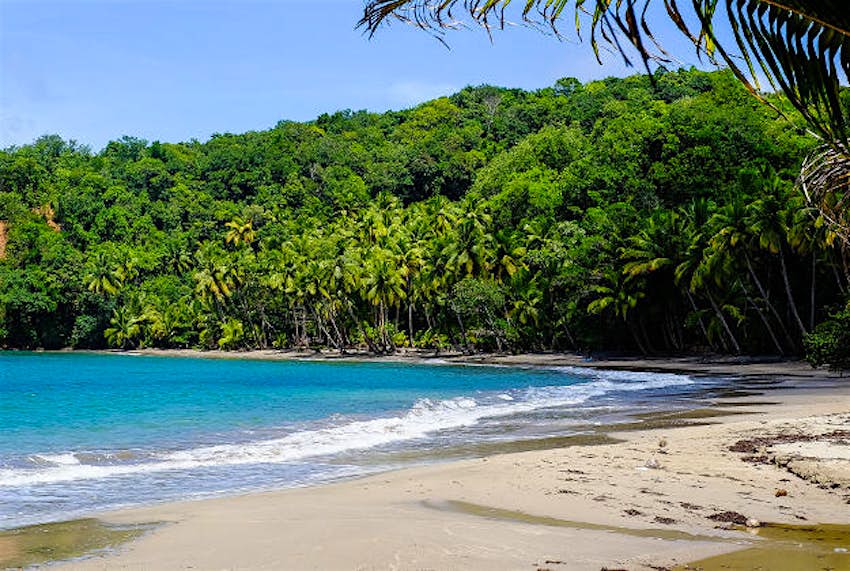Travel News - Dominica Batibou beach, Dominica.