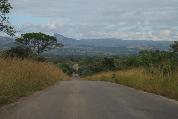A road running through the Kruger National Park.