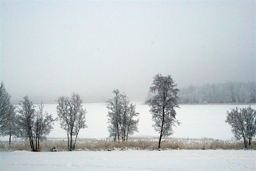 Travel News - Luleå The snowy landscapes of Luleå.