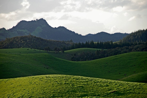 Northland, New Zealand.