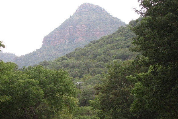 Swadini Nature Reserve, Mpumalanga.