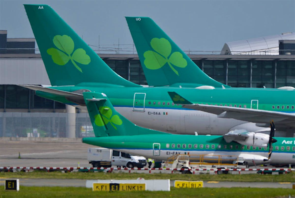 Lingus