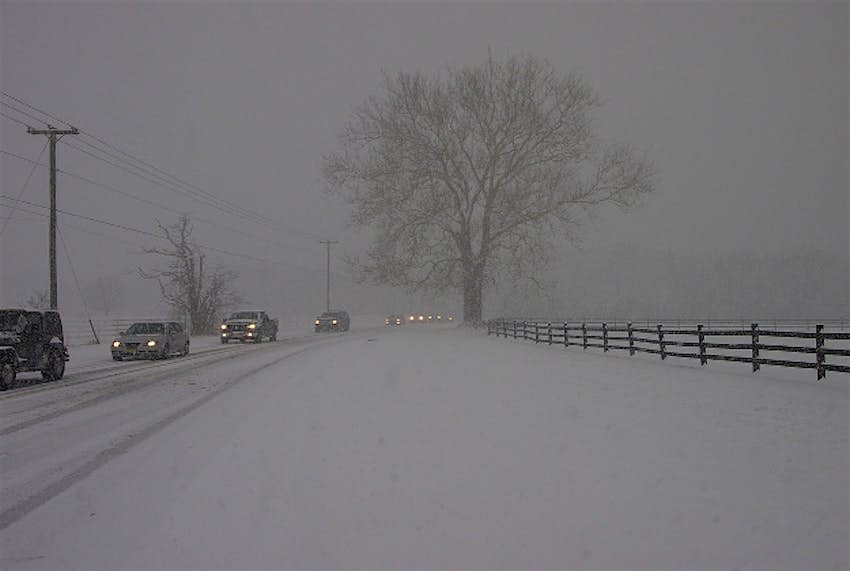 Travel News - snoww1 Snowfall along US East Coast