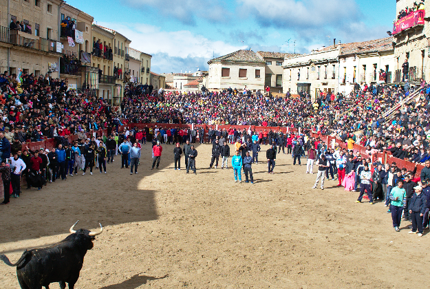 Last year's Carnaval del Toro in Ciudad Rodrigo.