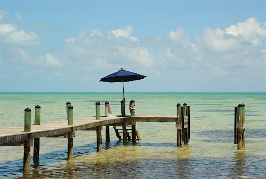 Travel News - Florida1 Florida tax on family of four costs £384