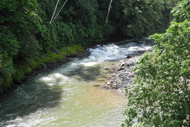 Costa Rica's Sarapiquí river.