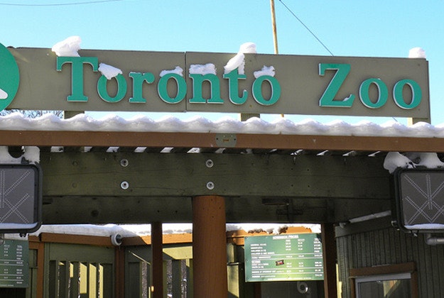 Toronto Zoo.