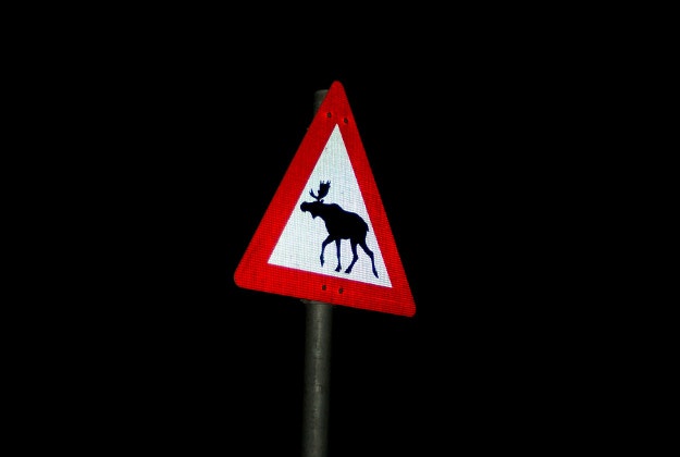 Caution, Elk crossing.