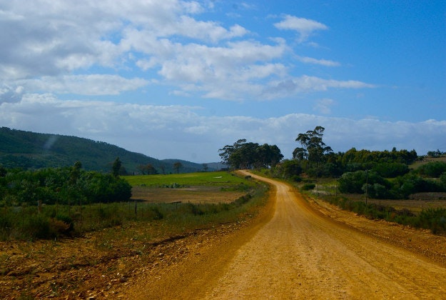 A road running through the Garden Route, South Africa.