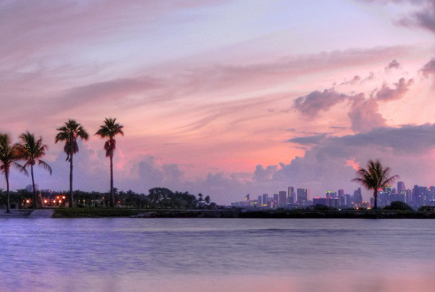 Miami Skyline.