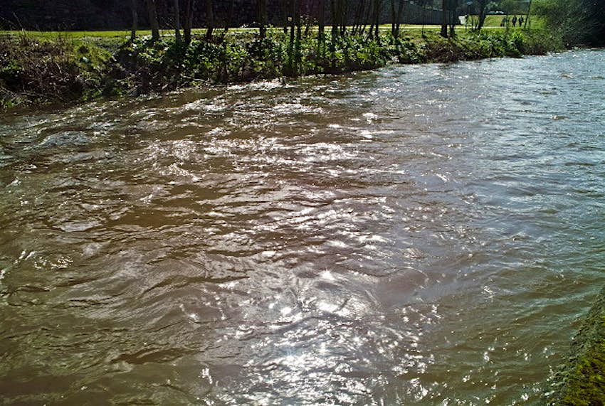 Travel News - dodder1 The River Dodder over which the new 'Whistling Bridge' has been built