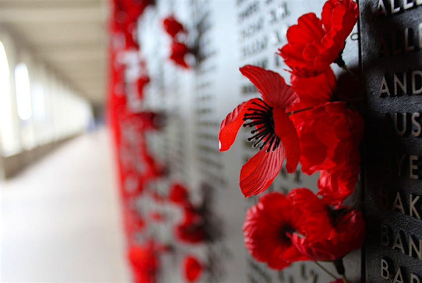 Travel News - Australia War Memorial Poppies at the Australian War Memorial.