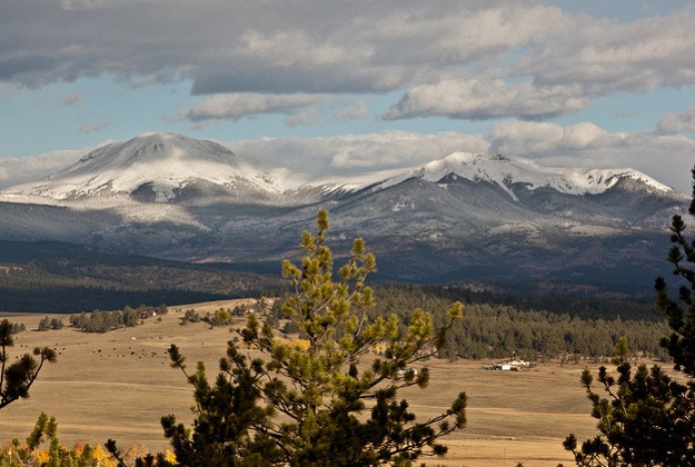 Buffalo Peaks, Colorado.