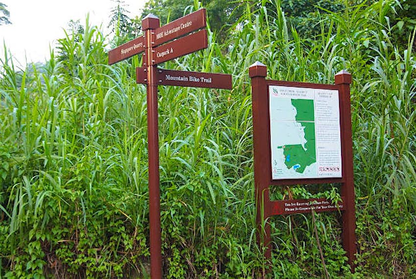Travel News - Bukit Timah Nature Reserve Entering the Bukit Timah Nature Reserve.