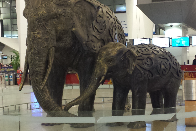 Elephants at Delhi airport, India.
