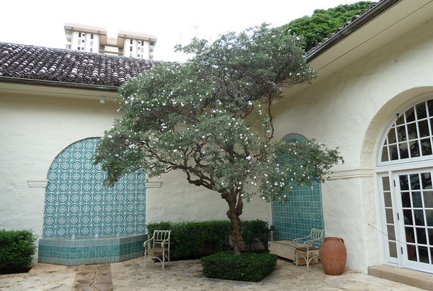 Honolulu Museum of Art.