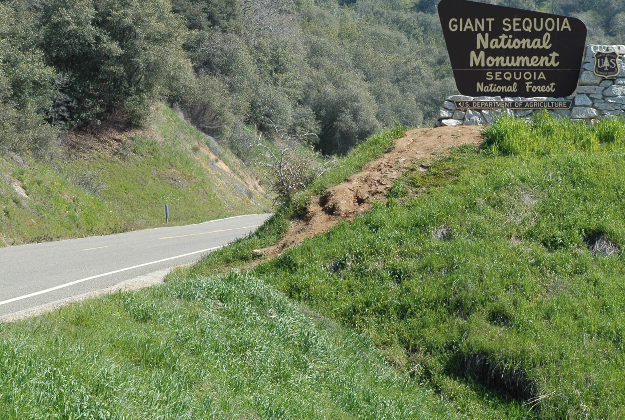Sequoia National Park.