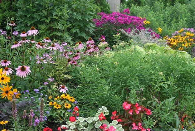 Shakespearean Garden, Ontario.