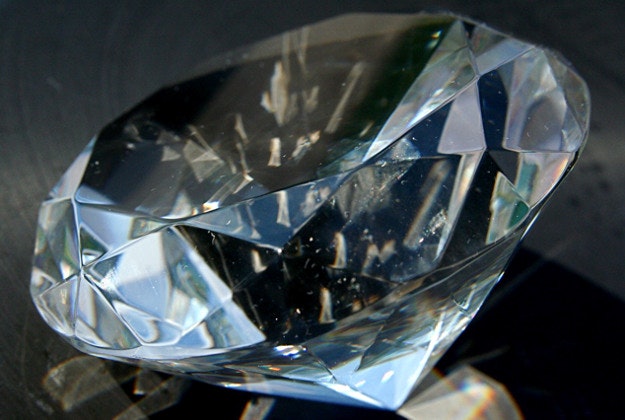 Rare plant could lead to diamonds below.
