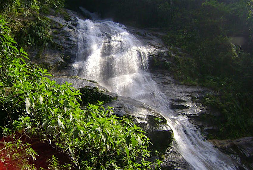 Travel News - Floresta da Tijuca A waterfall in Rio's Floresta da Tijuca National park.