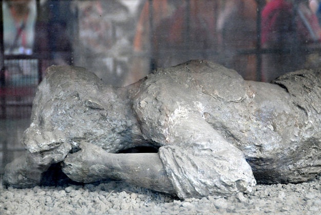 A body on display in Pompeii.
