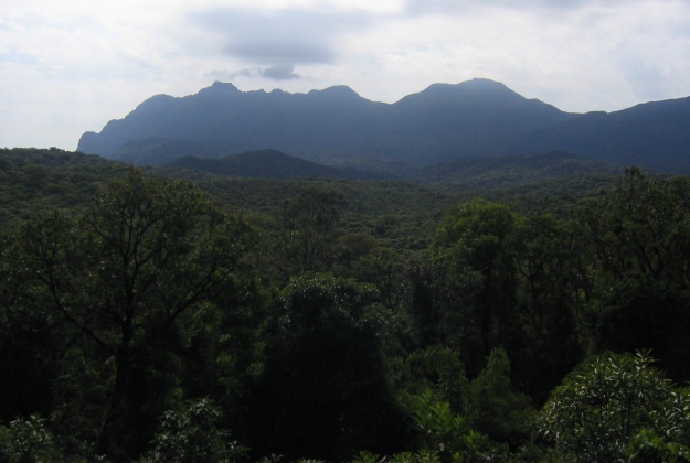Mountains near Curitiba, Brazil.