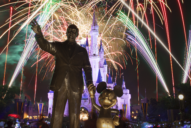 Disney's Magic Kingdom's fireworks show.