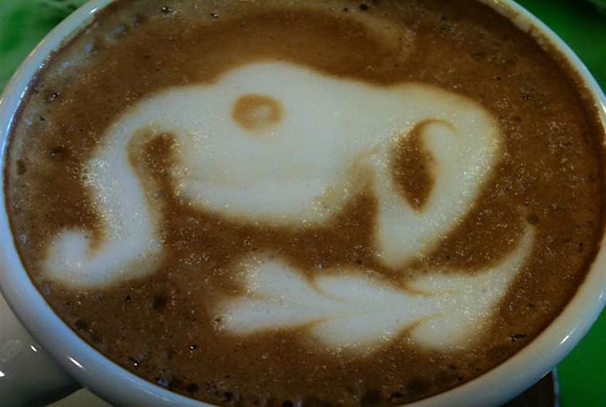 Travel News - Elephant1 Elephant coffee selling for $13 a cup in exclusive hotels in Asia