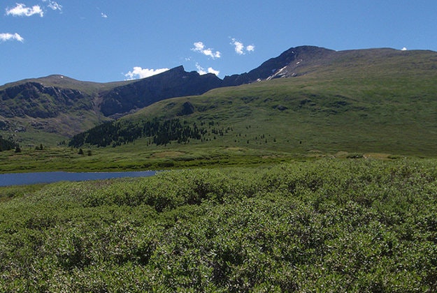 Mount Bierstadt.