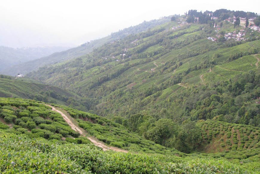 Darjeeling, India.