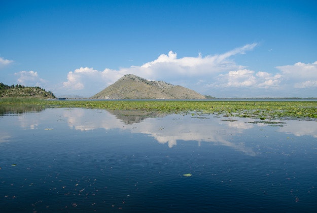 Skadar Lake, Montenegro.