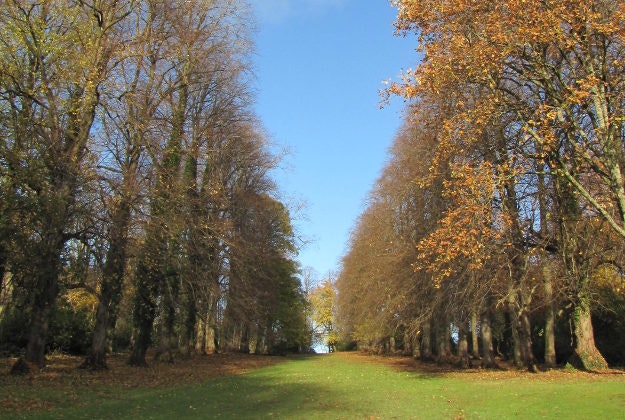 Pollok Country Park, Glasgow.