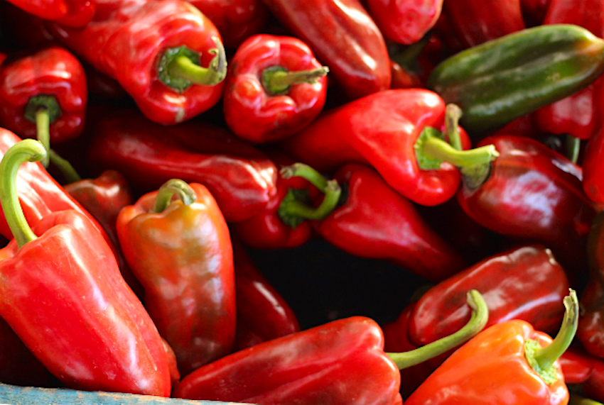 Travel News - chillipeppers Chilli pepper season comes early this year.