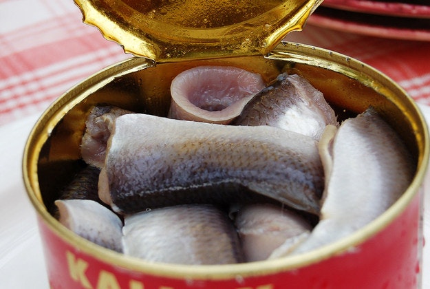Sweden's pungent delicacy of fermented herring.