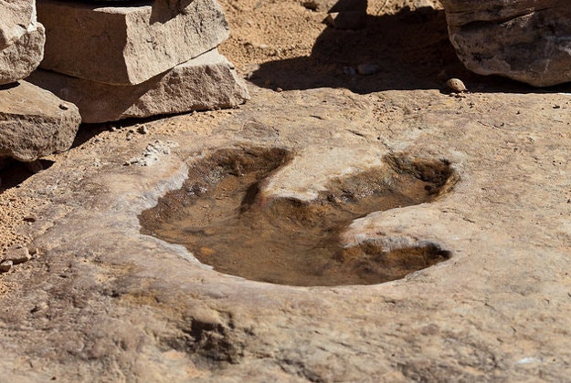 A dinosaur footprint found in Utah in the USA.