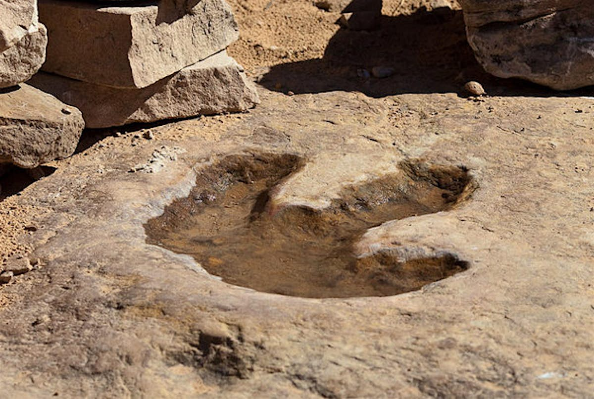 dinosaur footprints ct