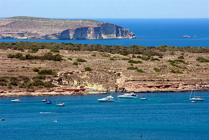 Travel News - Mellieha Bay andrea castelli Mellieha Bay.