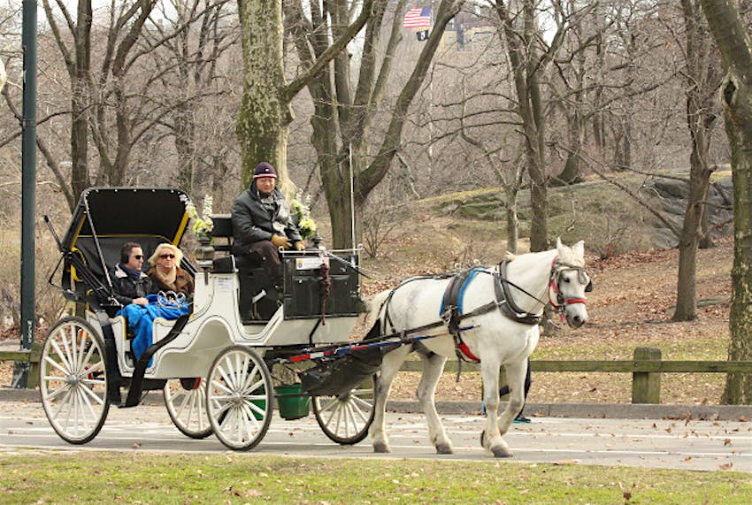 Travel News - central1 Drivers and owners of horse-drawn carriages around Central Park have backed actor Liam Neeson in his head-to-head with Mayor de Blasio of New York
