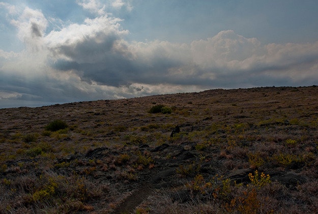 Part of the Keauhou Trail.