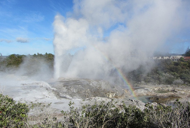 Geyser in Te Puia Te, Whakarewarewa Thermal Valley in Rotorua.